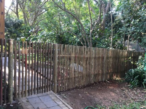 PHOTO-2019-07-30-11-24-00-1