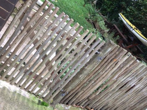 PHOTO-2019-07-30-11-24-01-1