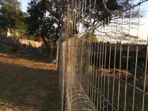 PHOTO-2019-07-30-11-24-06-2-1