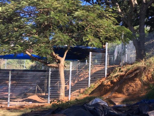 PHOTO-2019-07-30-11-24-09