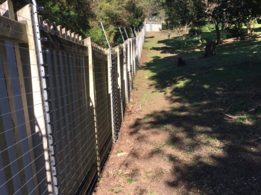 PHOTO-2019-07-30-11-26-51