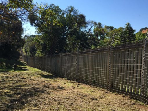 PHOTO-2019-07-30-11-26-53