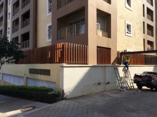 PHOTO-2019-07-30-11-26-58 2