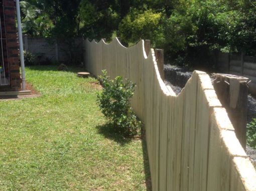 PHOTO-2019-07-30-11-31-28 2